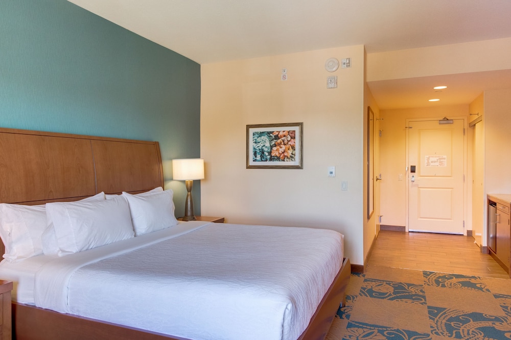 Hilton Garden Inn Oklahoma City Bricktown - photo 9