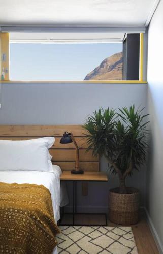 Lion House in Bo Kaap Number 53