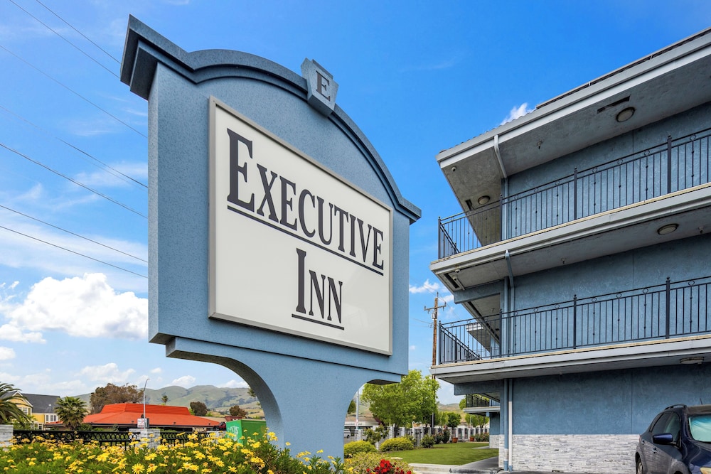 Executive Inn Hotel - photo 16