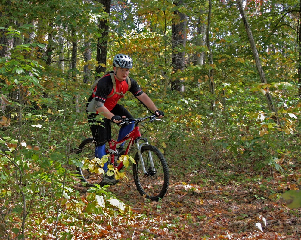 Pennyrile Forest State Resort Park - photo 18