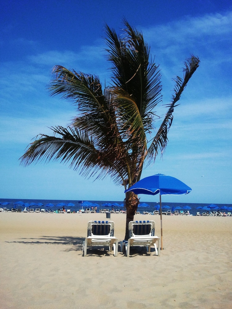 Ocean Place Resort And Spa - photo 46