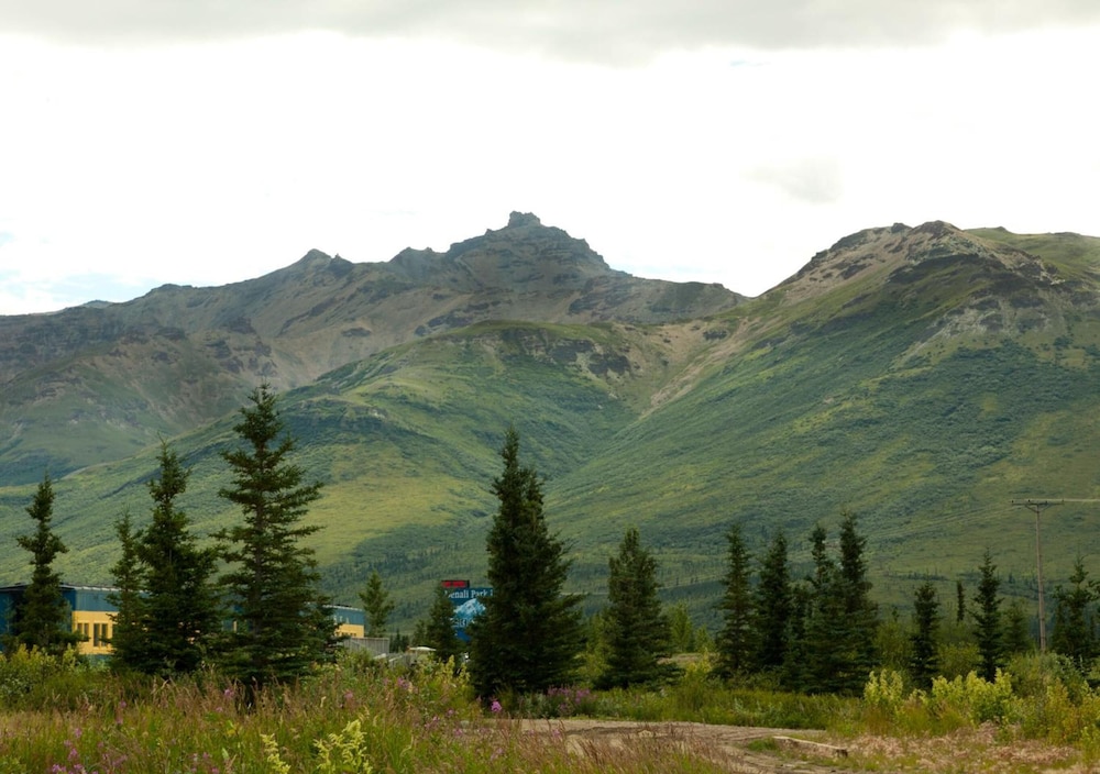 Denali Park Hotel - photo 35