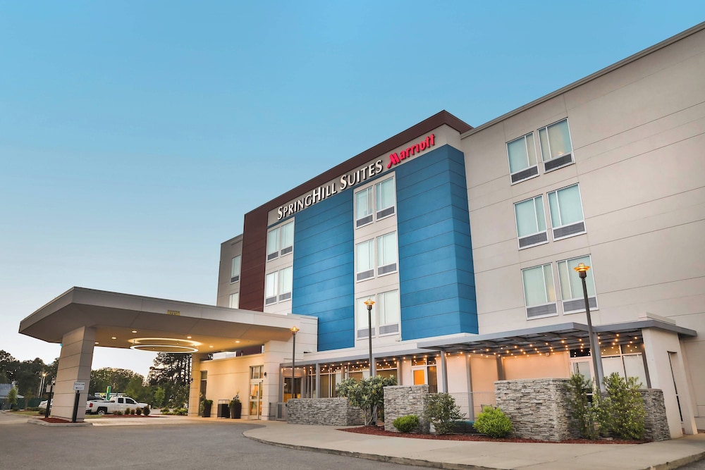 SpringHill Suites Lumberton - photo 28