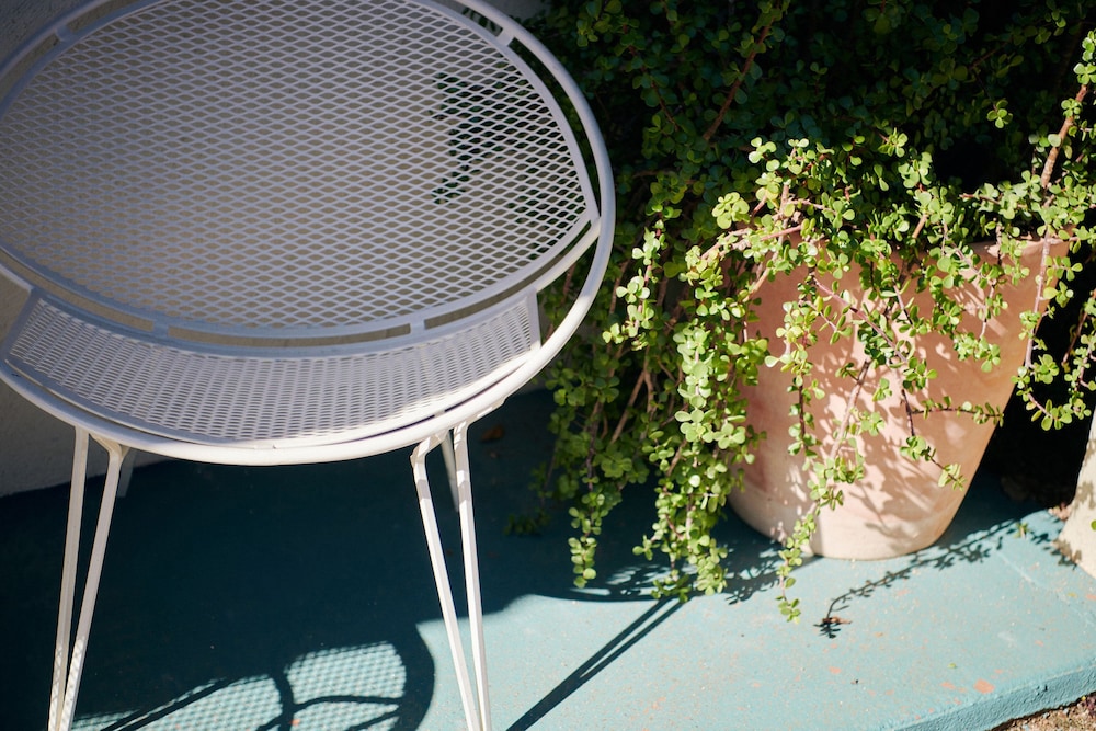 Austin Motel - photo 144