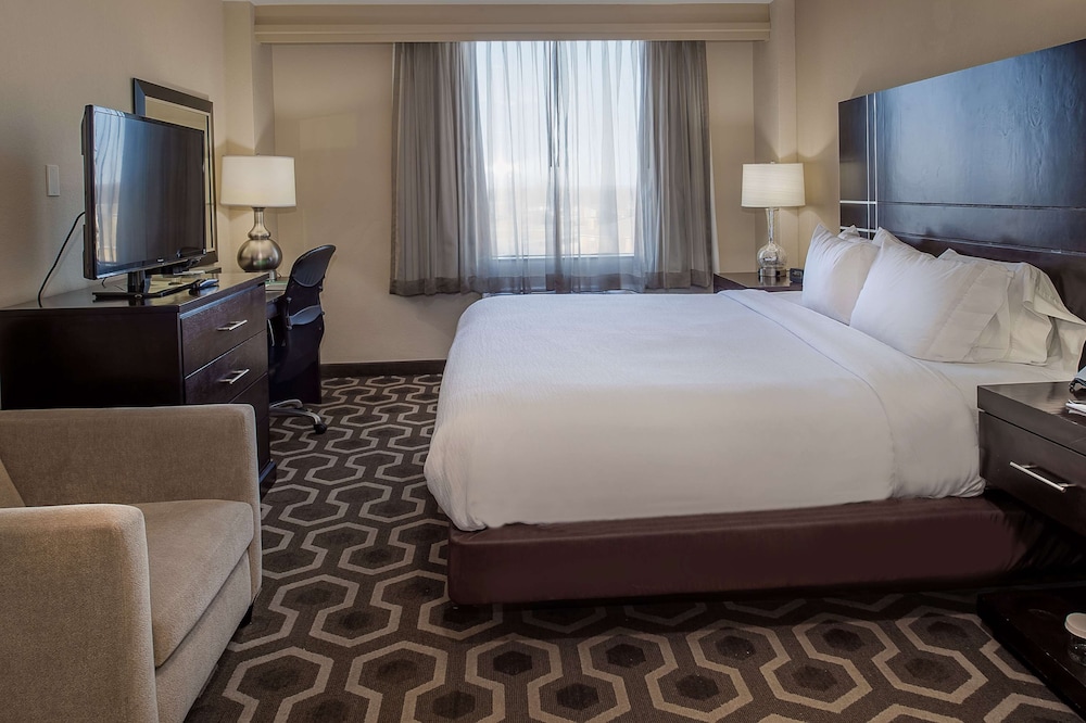 Embassy Suites by Hilton St. Louis Airport - photo 12