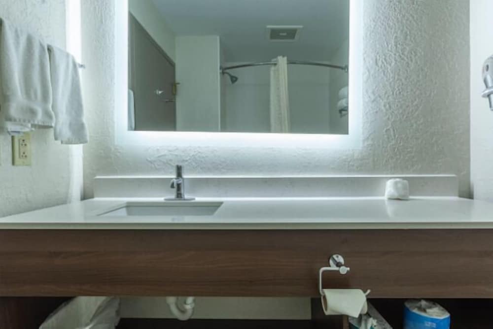 Lancaster Inn and Suites - photo 21