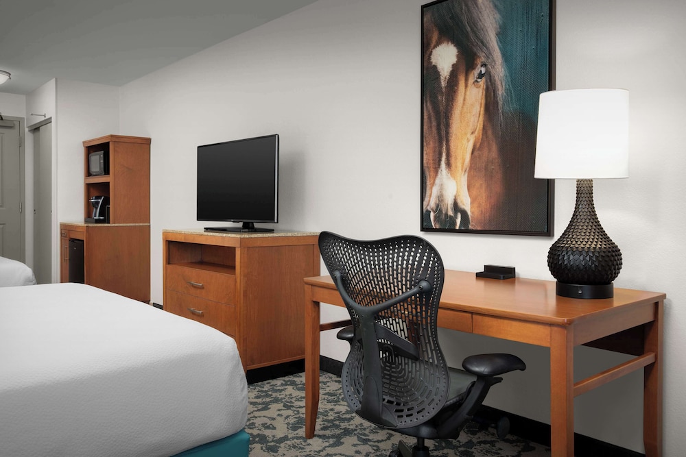 Hilton Garden Inn Fort Worth Medical Center - photo 2