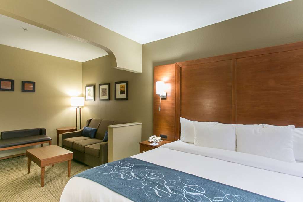 Comfort Suites Austin NW Lakeline - photo 14