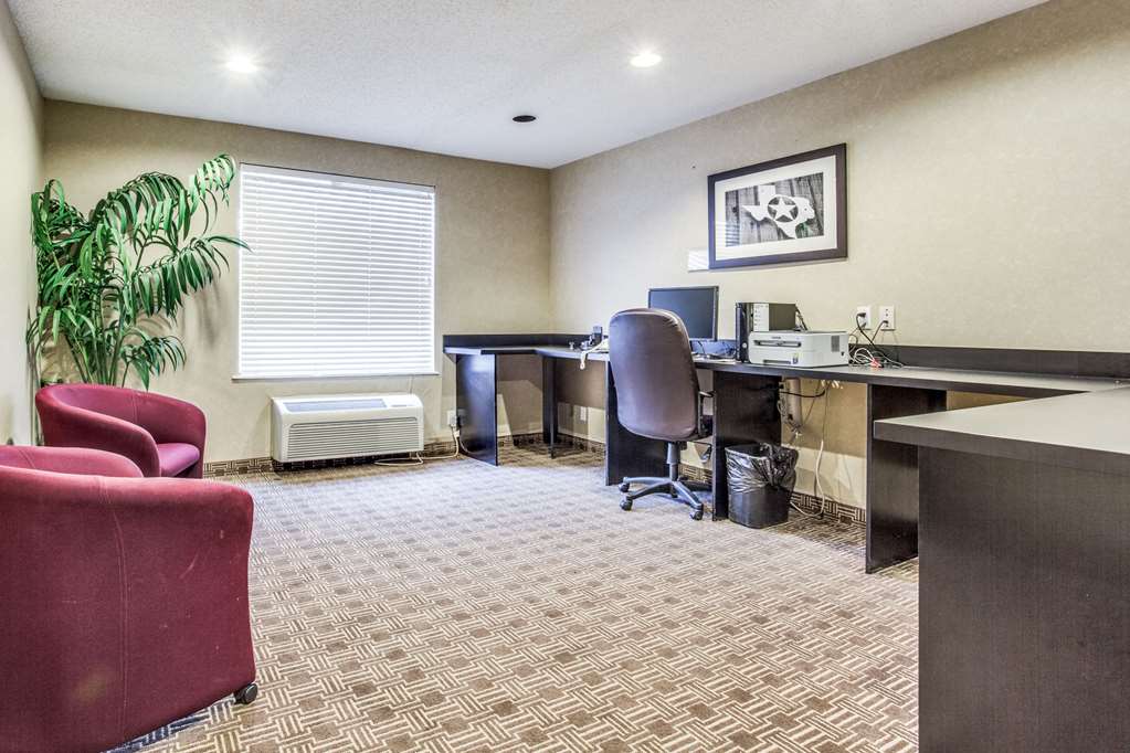 Comfort Inn & Suites Love Field Dallas Market Center - photo 22
