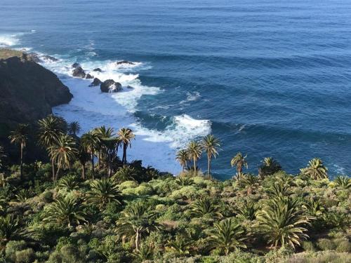 Home2book El Encanto de la Torre I in Santa Cruz De Tenerife, Spain