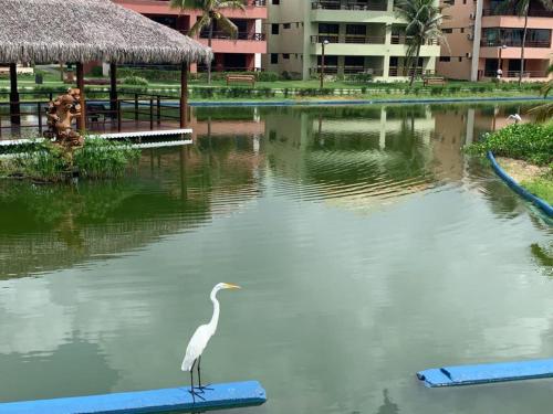Aquaville Porto das Dunas — 4-Star Luxury Hotel in Aquiraz, Brasil