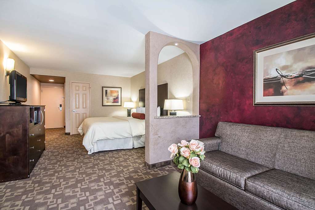 Clarion Inn Elmhurst Oak Brook near I 88 I 290 I 294 - photo 31