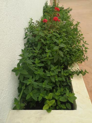 LE CASE camera doppia con bagno privato e terrazza — Casarano — photo 2
