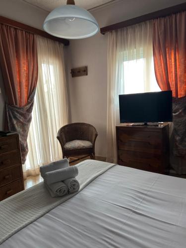 Rachel - carbon neutral hotel in Unknown City
