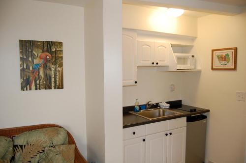 Alcazar Resort Gay Mens Resort - photo 11