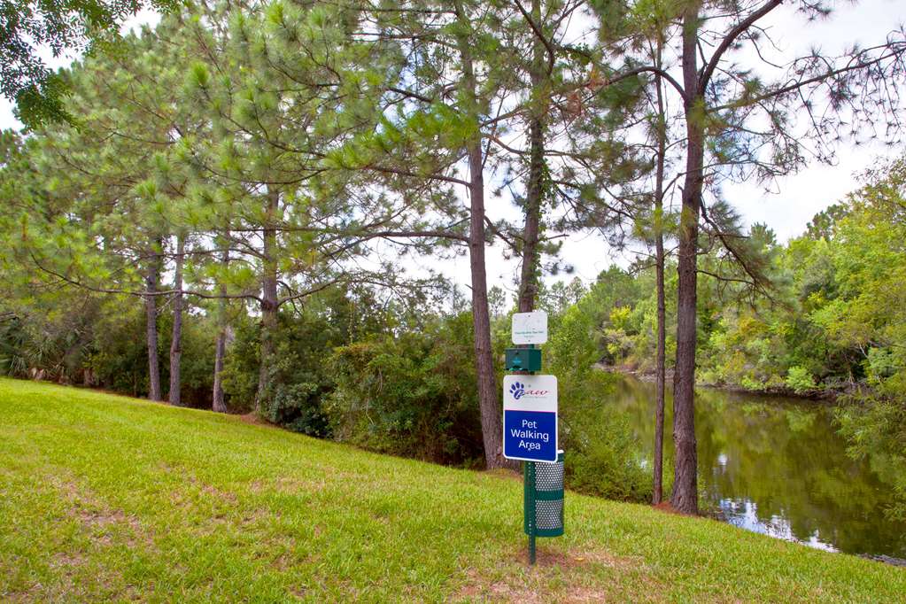 Sonesta Simply Suites Jacksonville - photo 19