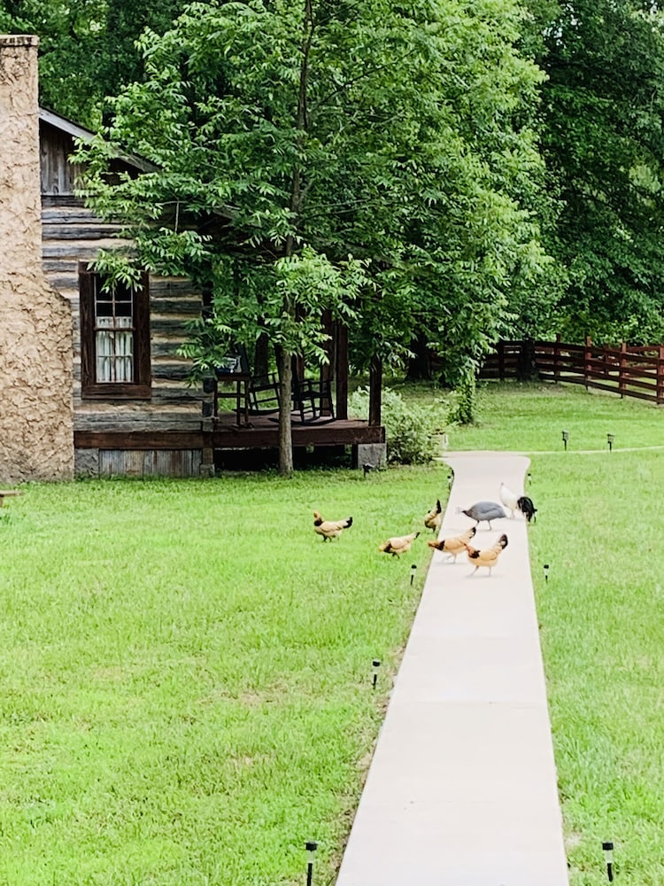 Coulter Farmstead - photo 115