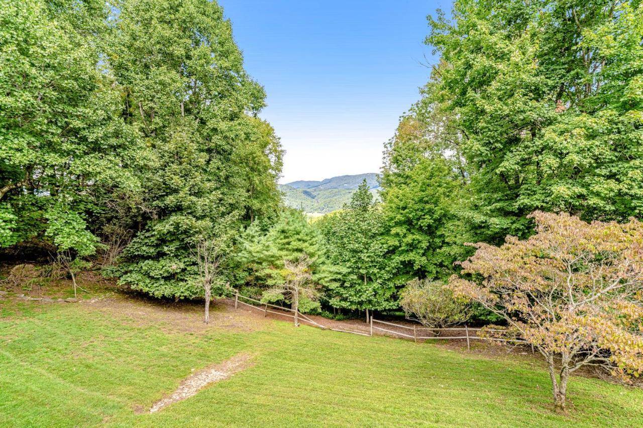 Pecky Vista — Boone — photo 4