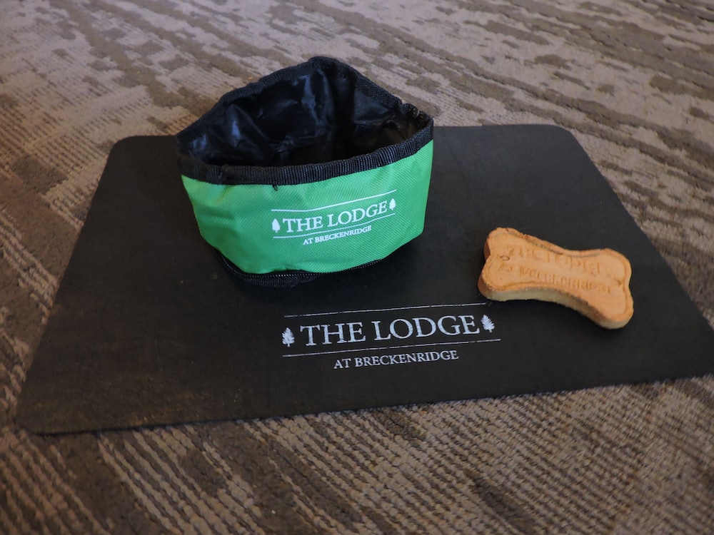 The Lodge at Breckenridge - photo 29