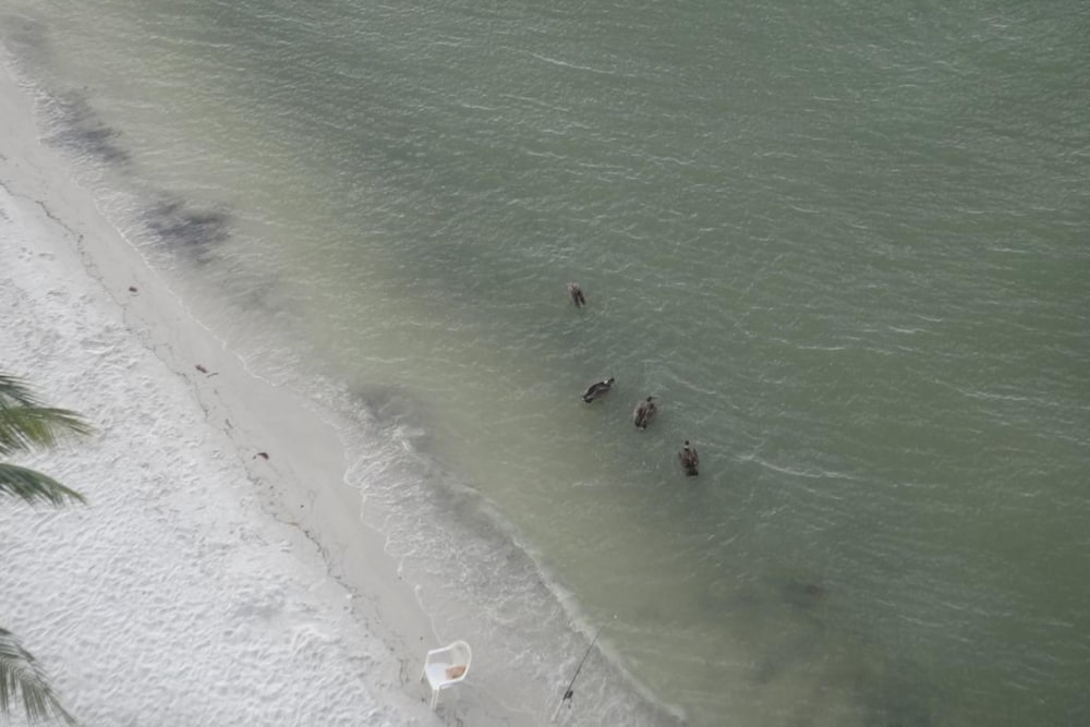 Lovers Key Beach Club by Lovers Key Vacations - photo 263
