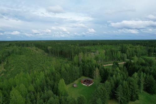 Roheluse metsamaja with hot tub and sauna in Unknown City, Estonia