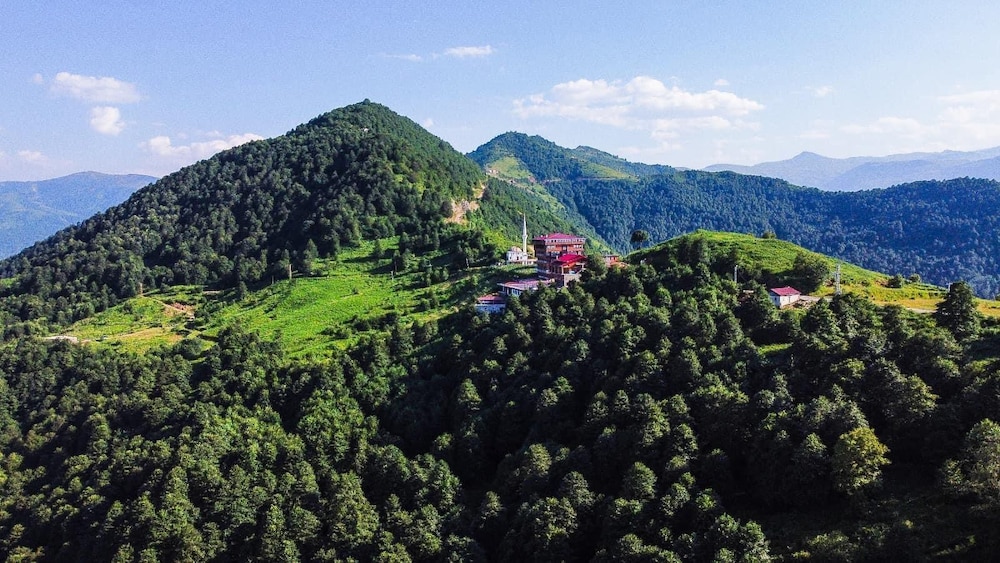 Avulot Mountain Resort Hotel — hotel in Surmene