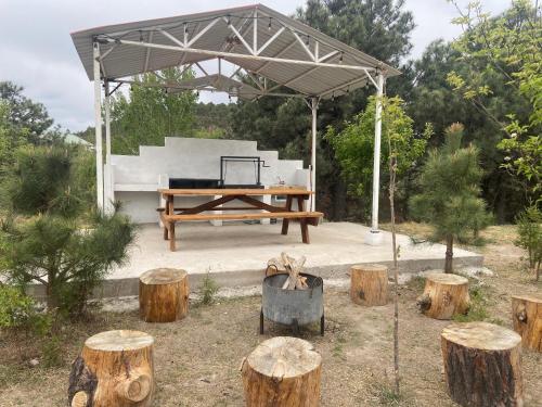 Cabañas Rochivo Ranch — Creel — photo 5