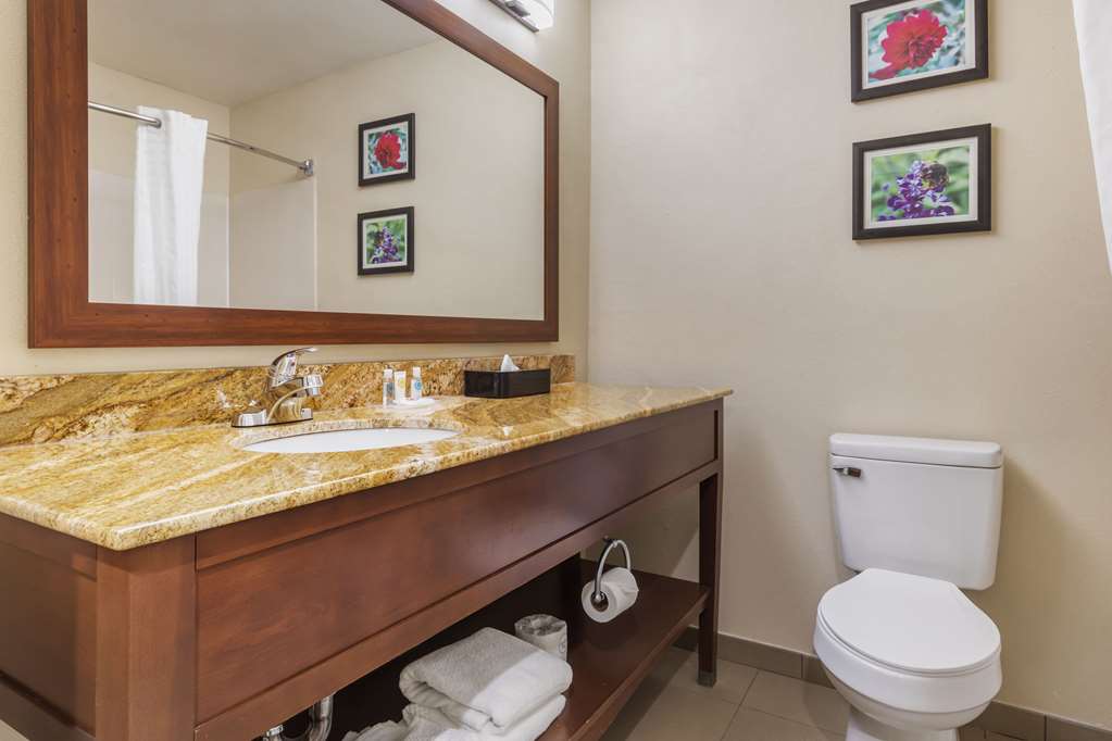 Comfort Inn & Suites Temple Medical Center - photo 28