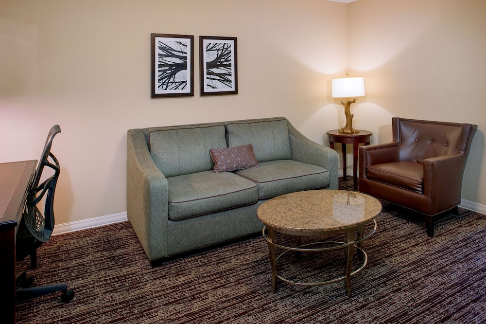 Hilton Garden Inn St. Louis Airport - photo 28