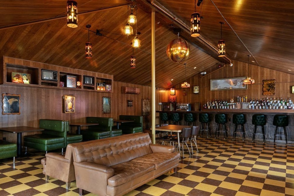 The Dive Motel & Swim Club - photo 27