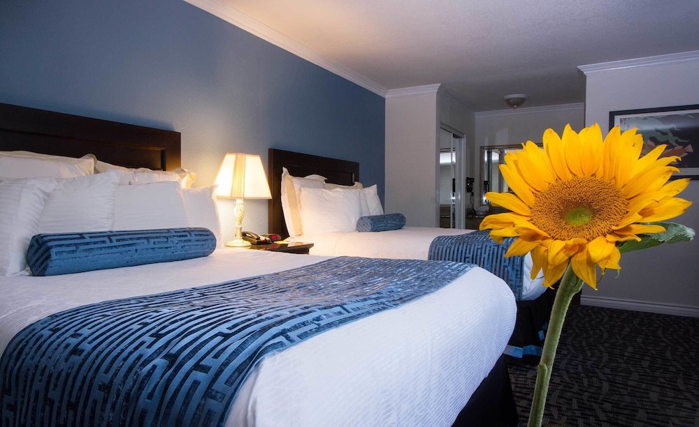Regency Inn Los Angeles - photo 13