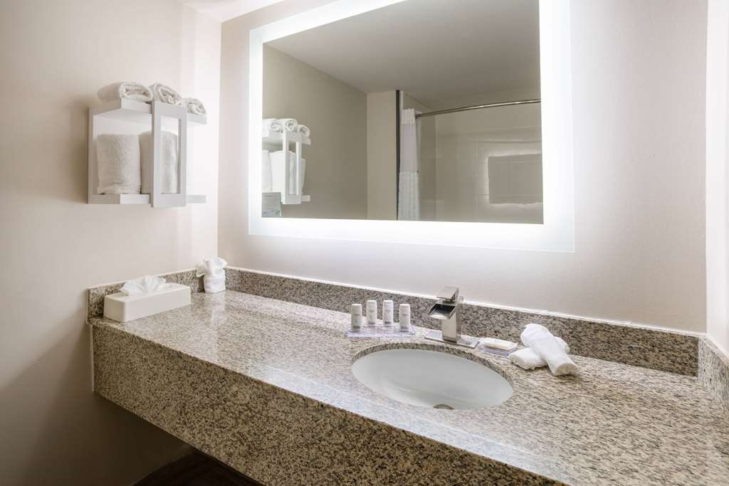 Wingate by Wyndham Atlanta Galleria Ballpark - photo 8