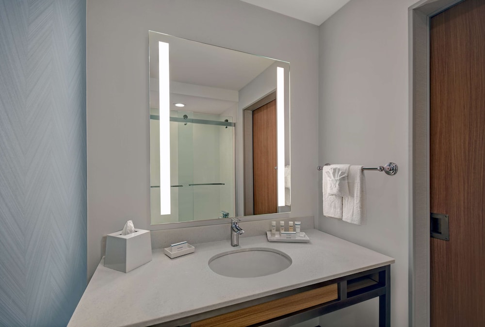 Hilton Garden Inn Houston Medical Center TX - photo 39