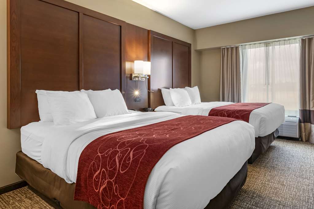 Comfort Suites Manheim Lancaster - photo 20