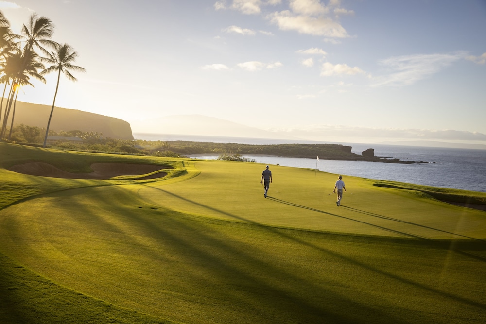 Four Seasons Resort Lanai - photo 92
