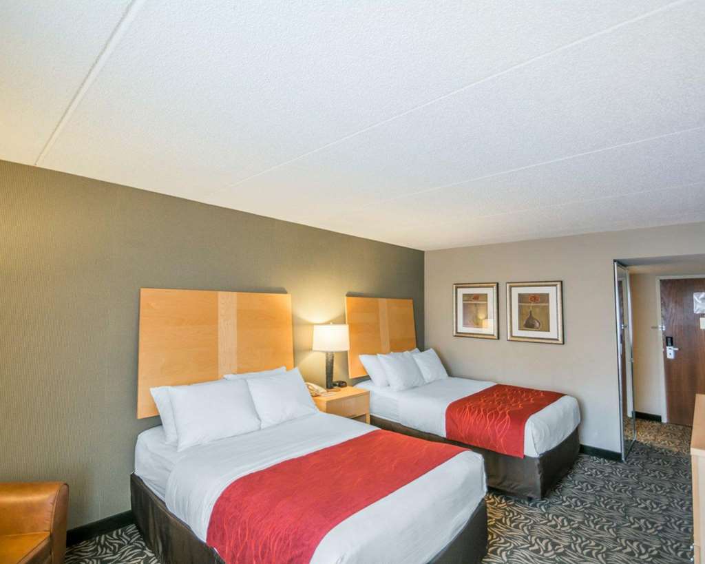 Comfort Inn NYS Fairgrounds - photo 11