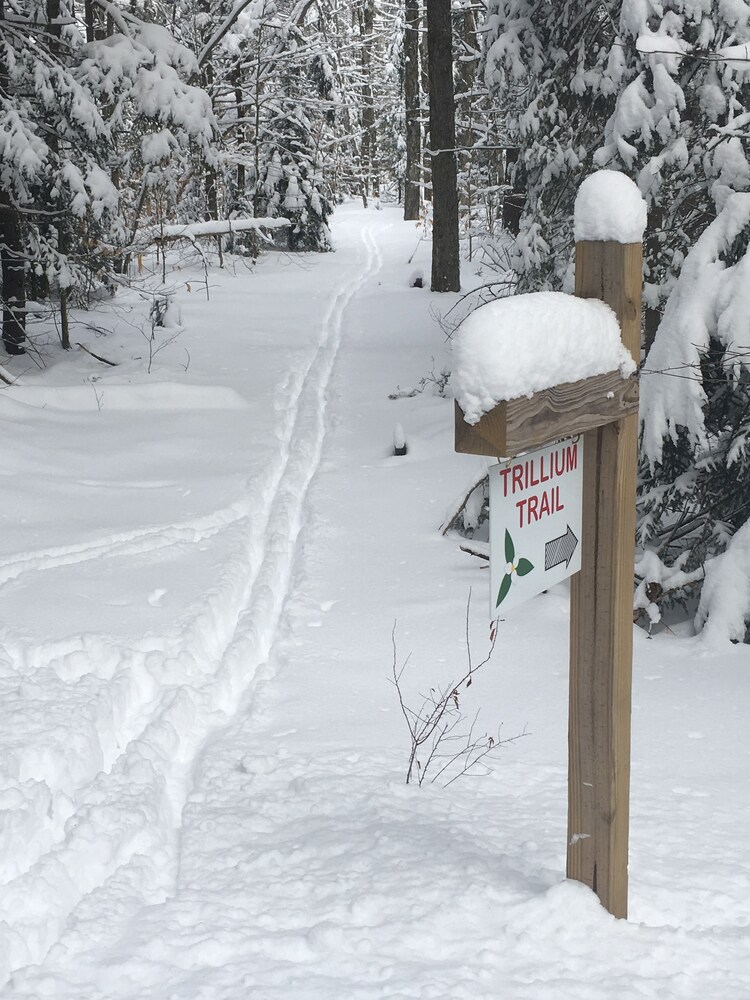 Robert Frost Mountain Cabins - photo 48