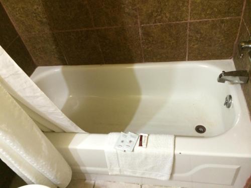 Lake Shore Motel - photo 42