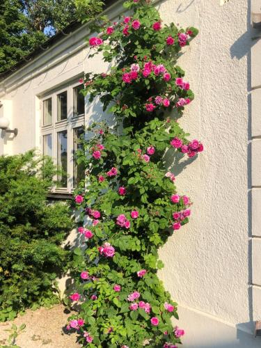 Borregården Grindstugan - last minute hotel in Unknown City