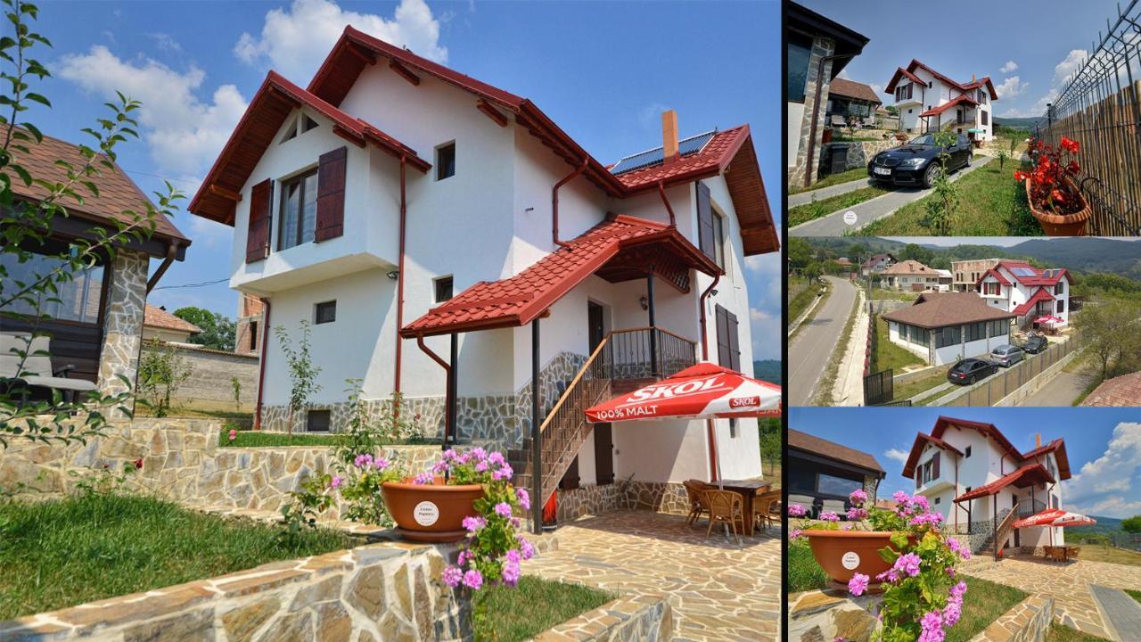 Foisorul Din Poveste pet-friendly hotel Serbanesti