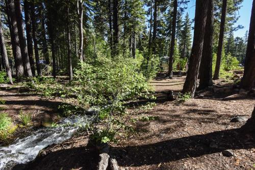 Ski Trails 4113 - photo 24