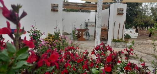 Estate Nel Trullo — Villa Castelli