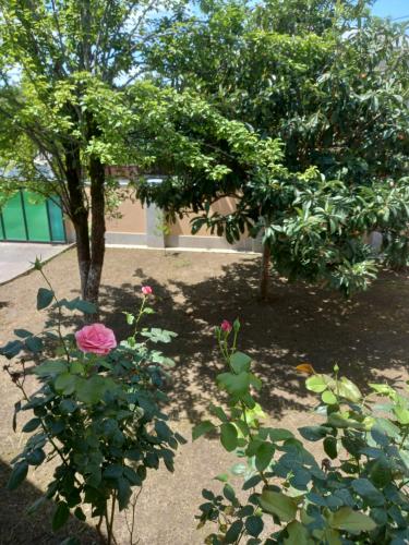 Tskaltubo Apartment Mirian Mepe