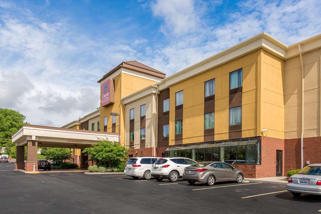 Comfort Suites Fairview Heights - featured photo