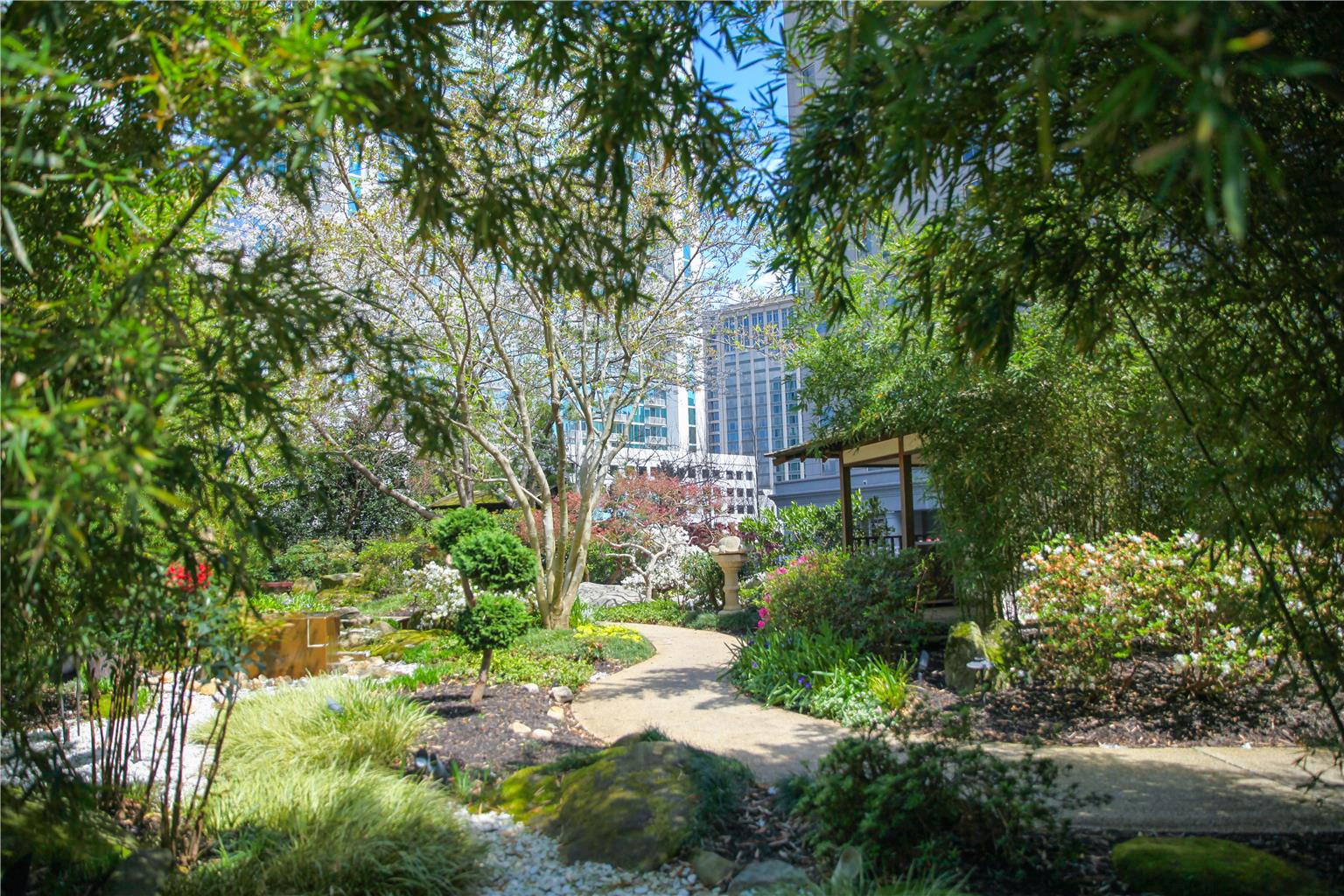 Grand Hyatt Atlanta in Buckhead - photo 33