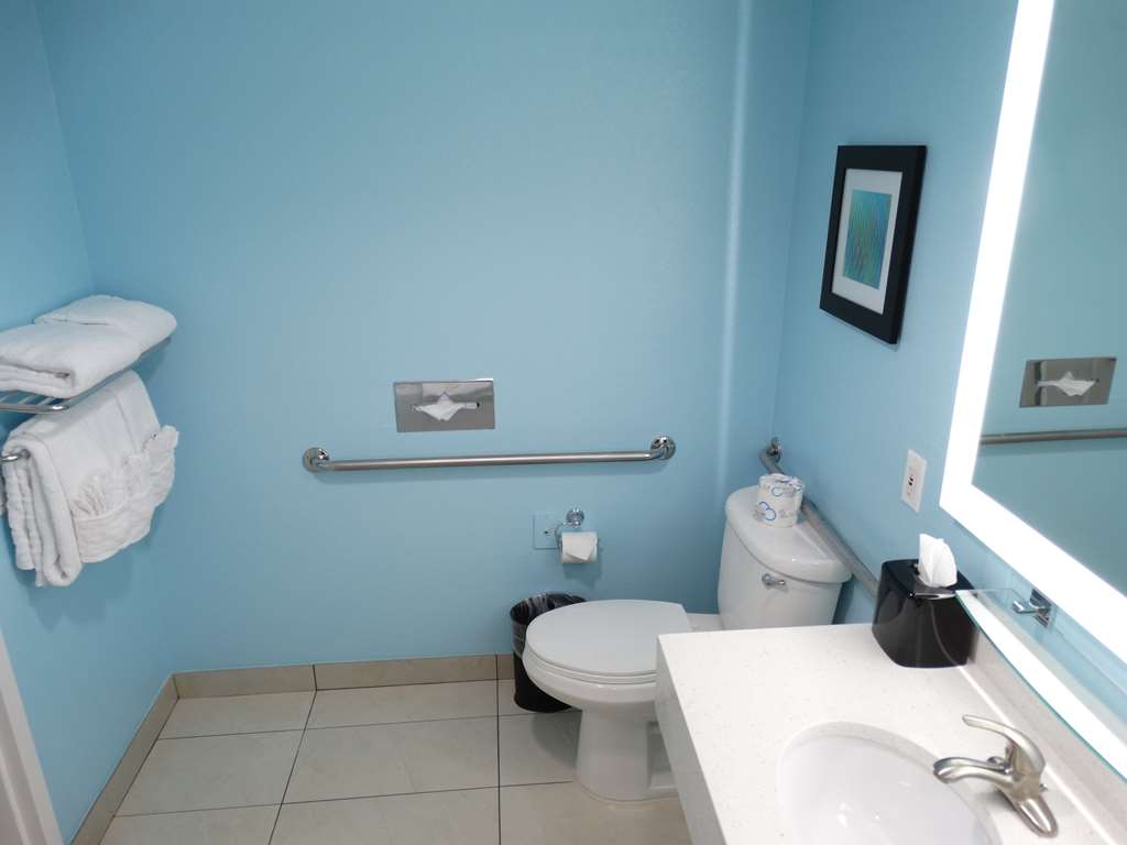 Best Western Plus Orlando Lake Buena Vista South Inn & Suites - photo 21