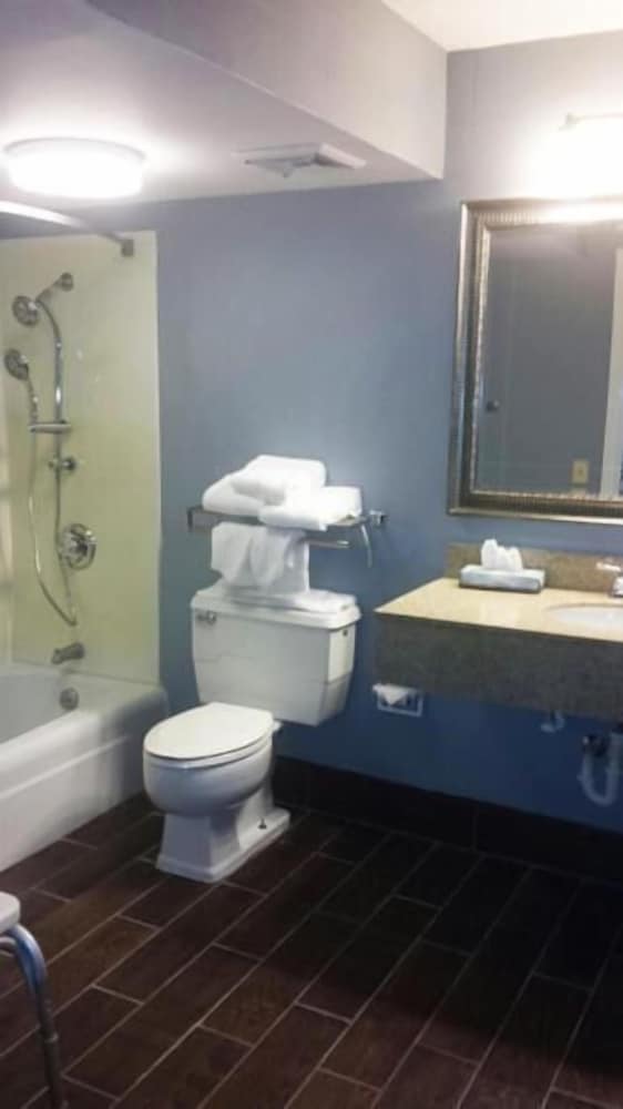 Wingfield Inn - photo 31