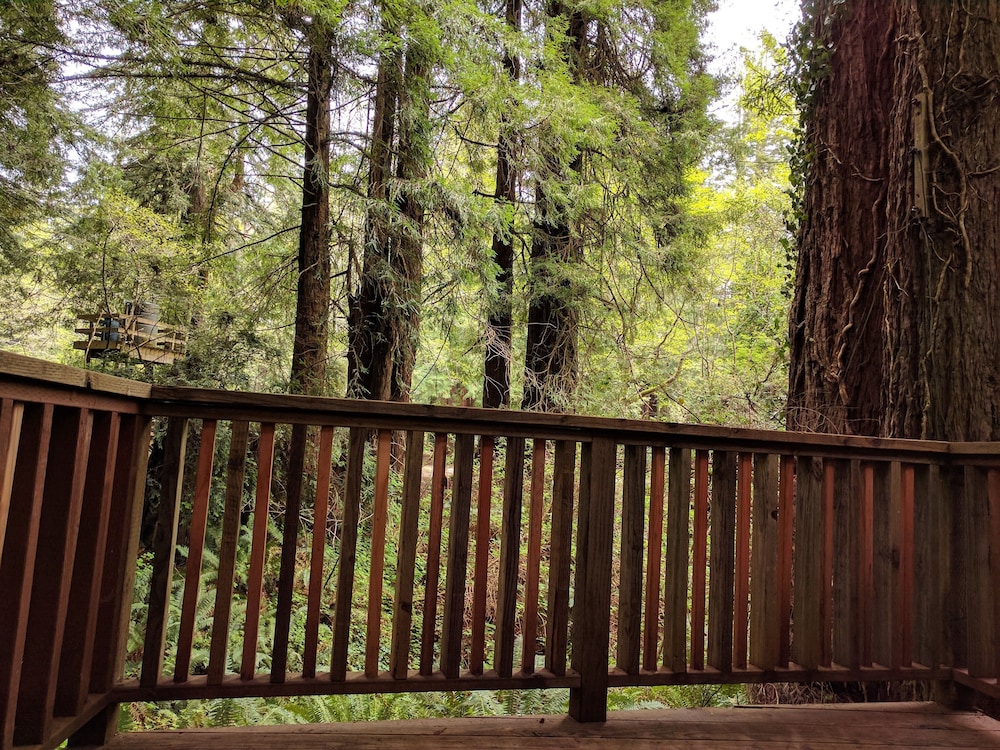Emerald Forest Cabins - photo 166
