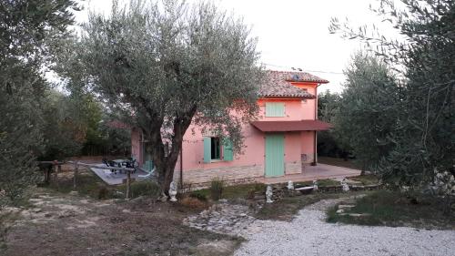 Le Rondini — Montecosaro — photo 3
