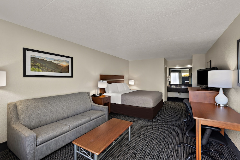 Quality Inn Dandridge - photo 10